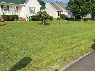 Lawn care service in Murfreesboro, 37128