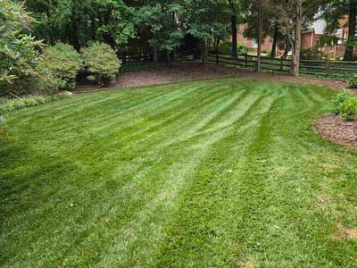 Lawn care service in Matthews, 28105