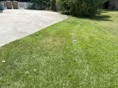 Lawn care service in Kissimmee, 34744