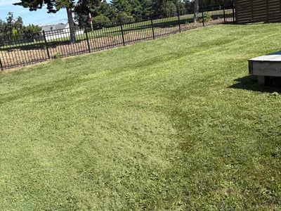 Lawn care service in Peoria, 61614