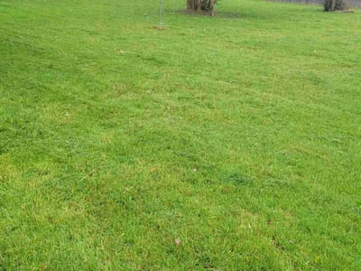 Lawn care service in San Marcos, 78666