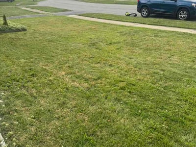 Lawn care service in Buffalo, 14225