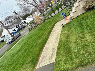 Lawn care service in Hamden, 06514