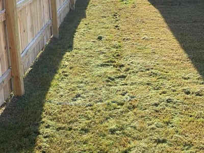Lawn care service in Round Rock, 78665