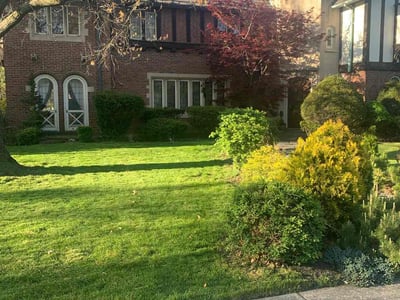 Lawn care service in Hammond, 46320