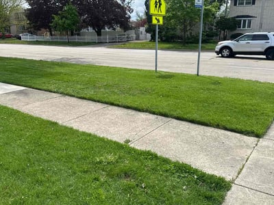 Lawn care service in Oak Lawn, 60453