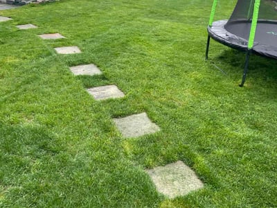 Lawn care service in Massapequa, 11758