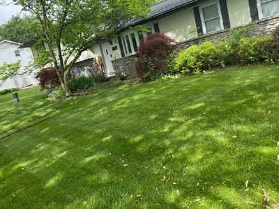 Lawn care service in Grove City, 43123