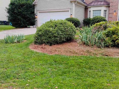 Lawn care service in Huntersville, 28078