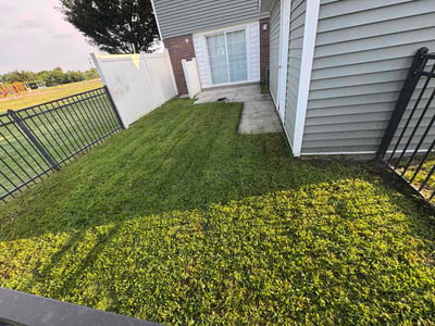 Lawn care service in Norfolk, 23503