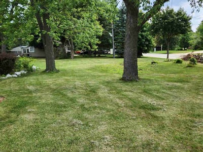 Lawn care service in , 