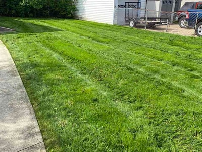 Lawn care service in Cleveland, 44134