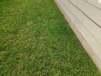 Lawn care service in Houston, 77049