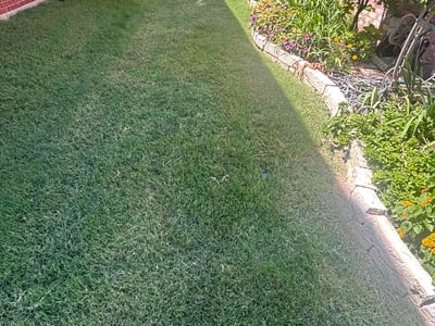 Lawn care service in Plano, 75025