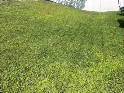 Lawn care service in District Heights, 20747