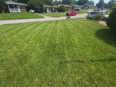 Lawn care service in Florence, 41042