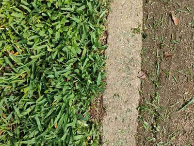 Lawn care service in Greenville, 29611