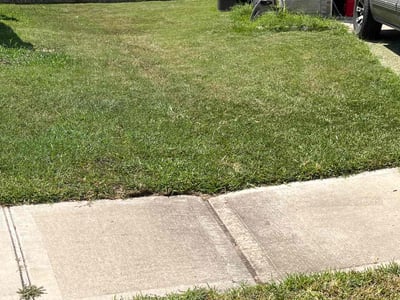 Lawn care service in Fulshear, 77441