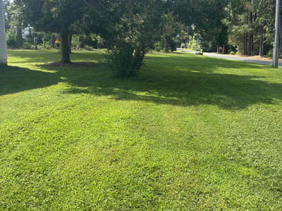 Lawn care service in Glen Allen, 23060