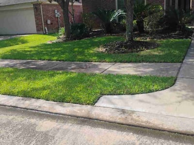 Lawn care service in Pearland, 77584