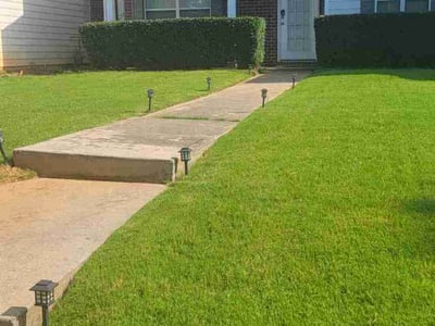 Lawn care service in Newnan, 30265
