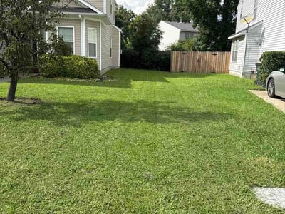 Lawn care service in Suffolk, 23435