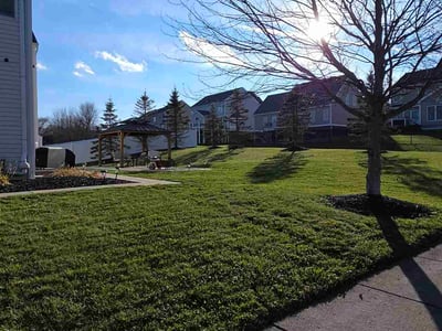 Lawn care service in Cranberry Township, 16066