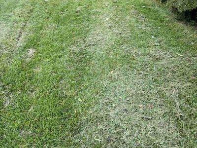 Lawn care service in Cherry Hill Township, 08002