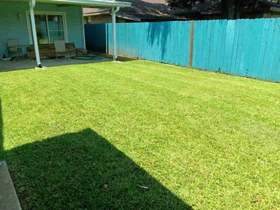Lawn care service in Kenner, 70065