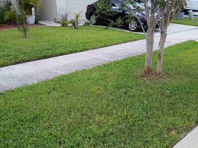Lawn care service in Lakeland, 33811