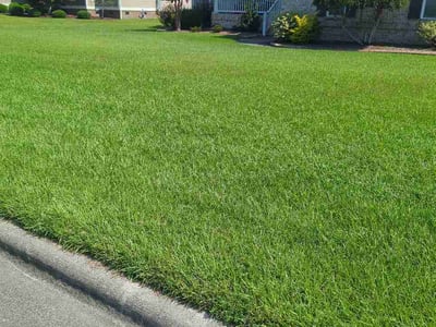 Lawn care service in New Bern, 28562