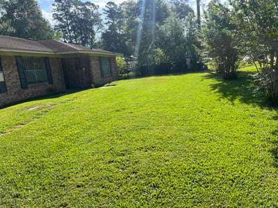 Lawn care service in New Caney, 77357