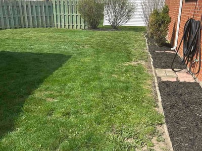 Lawn care service in Garden City, 48135