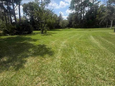 Lawn care service in Daytona Beach, 32114