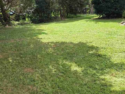 Lawn care service in Indian Trail, 28079