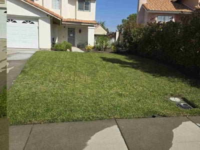 Lawn care service in Temecula, 92591