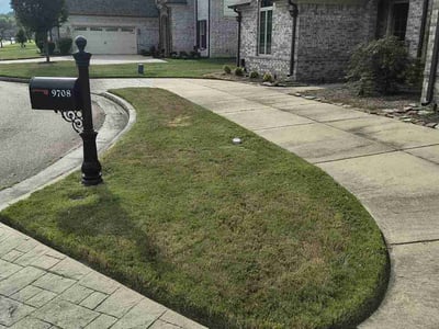 Lawn care service in Cordova, 38018