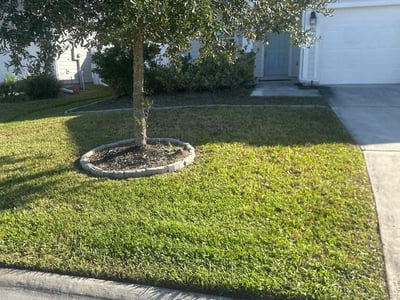 Lawn care service in Jacksonville, 32218