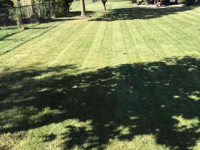 Lawn care service in Rochester, 55902