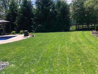 Lawn care service in Cincinnati, 45245