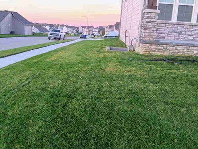 Lawn care service in Elkhorn, 68022