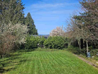 Lawn care service in Seattle, 98117