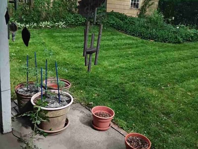 Lawn care service in Warren, 44483