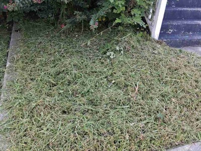 Lawn care service in Petersburg, 23803