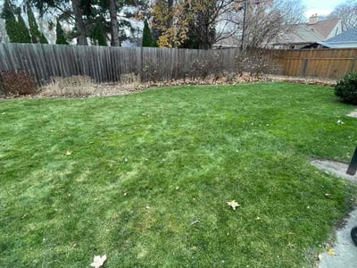 Lawn care service in Minneapolis, 55416