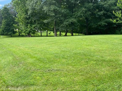 Lawn care service in Dawson, 62520