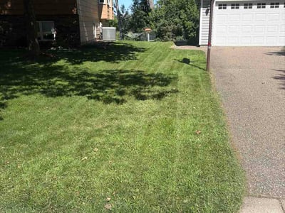 Lawn care service in Maple Grove, 55369