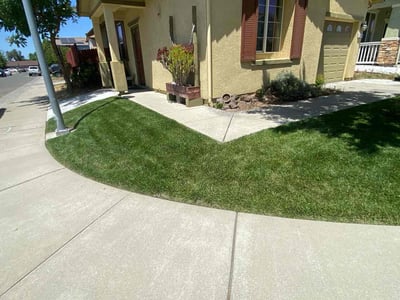 Lawn care service in Sacramento, 95838