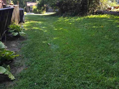 Lawn care service in Acworth, 30101
