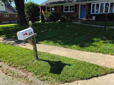 Lawn care service in Bel Air, 21015